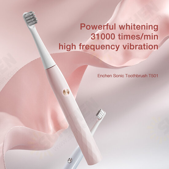 T501 Electric Toothbrush High-frequency Vibration Three Cleaning Modes Electric Toothbrush Long Battery Life IPX7 Waterproof Electric Toothbrush