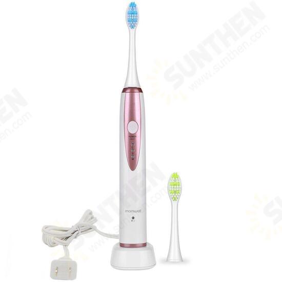 D02 Sonic Wireless Electric Toothbrush Rechargeable IPX7 Waterproof 3 Brushing Modes Electric Toothbrush For Deep Oral Care