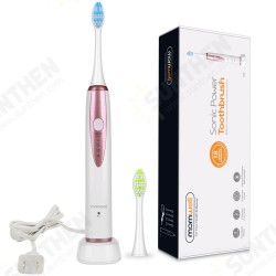 D02 Sonic Wireless Electric Toothbrush Rechargeable IPX7 Waterproof 3 Brushing Modes Electric Toothbrush For Deep Oral Care D02 Sonic Wireless Electric Toothbrush Rechargeable IPX7 Waterproof 3 Brushing Modes Electric Toothbrush For Deep Oral Care