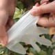 100 Pcs PVC Disposable Gloves PVC Transparent Gloves Protective Outdoor Camping Travel