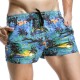 Fashion Hawaiian Printing Quick Dry Breathable Sports Board Shorts for Men