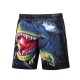 S5251 Beach Shorts Board Shorts 3D Funny Dinosaur Printing Fast Drying Waterproof