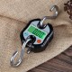 150kg x 50g mini Heavy Duty Electronic Digital Hook Scale Hanging Crane Scale LCD Balance Weight