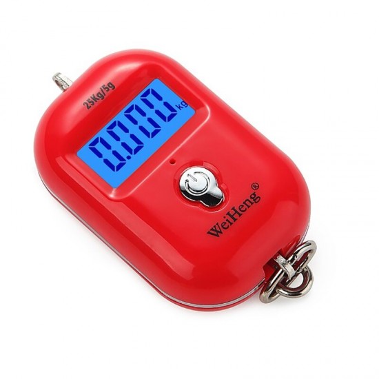 WH-A21L 25Kg x 5g Digital Hanging Scale Mini Electronic Luggage Hook Scale LED Display Screen Kitchen Steelyard