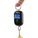 WH-A21L 25Kg x 5g Digital Hanging Scale Mini Electronic Luggage Hook Scale LED Display Screen Kitchen Steelyard