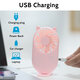 Summer Portable Handheld/ Desktop USB Rechargeable 3-Gear Wind-Speed Mini Pocket Fan