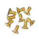 10Pcs/Set Wood Carbide Insert Cutters Screws DIY Wood Turning Tool Woodworking Lathe Tools 10Pcs/Set Wood Carbide Insert Cutters Screws DIY Wood Turning Tool Woodworking Lathe Tools