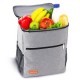 25L Gray Insulated Waterproof Cooling Backpack Bag Picnic Camping Rucksack Ice Cooler Bag 25L Gray Insulated Waterproof Cooling Backpack Bag Picnic Camping Rucksack Ice Cooler Bag