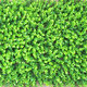 40x60cm DIY Artificial Plant Wall Plastic Home Garden TV Background Shop The Mall for Home Decoration Green Carpet Turf Jungle Party