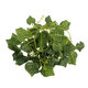 6.56ft Artificial Fake Ivy Plants Vine Foliage Flower Home Garden Decorations