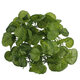 6.56ft Artificial Fake Ivy Plants Vine Foliage Flower Home Garden Decorations