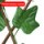 Parthenocissus leaf3 