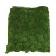 Artificial Moss Mat DIY Landscape Flat Grass Lawn Turf Plants Shop Home Decor