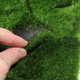 Artificial Moss Mat DIY Landscape Flat Grass Lawn Turf Plants Shop Home Decor