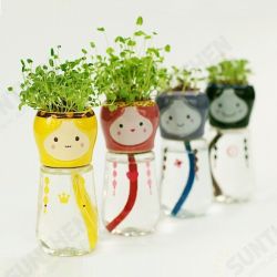 DIY Mini Doll Tail Water Absorption Potted Plant Desktop Office Decor DIY Mini Doll Tail Water Absorption Potted Plant Desktop Office Decor