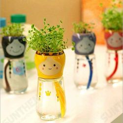 DIY Mini Doll Tail Water Absorption Potted Plant Desktop Office Decor DIY Mini Doll Tail Water Absorption Potted Plant Desktop Office Decor