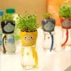 DIY Mini Doll Tail Water Absorption Potted Plant Desktop Office Decor