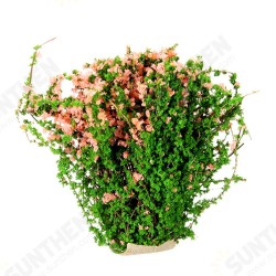 DIY Sand Table Decoration Materials Shrub Thicket Spend Gardening DIY Sand Table Decoration Materials Shrub Thicket Spend Gardening