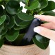 Flora Digital Plants Grass Flower Monitor Soil Water Moisture Tester Sensor Flower Plant Detector