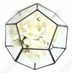 Irregular Glass Geometric Terrarium Box Flower Pot DIY Tabletop Succulent Plant Planter Irregular Glass Geometric Terrarium Box Flower Pot DIY Tabletop Succulent Plant Planter