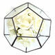 Irregular Glass Geometric Terrarium Box Flower Pot DIY Tabletop Succulent Plant Planter