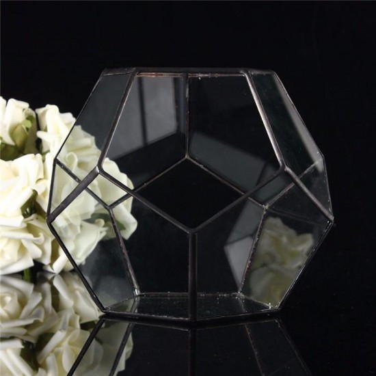 Irregular Glass Geometric Terrarium Box Flower Pot DIY Tabletop Succulent Plant Planter
