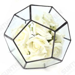 Irregular Glass Geometric Terrarium Box Flower Pot DIY Tabletop Succulent Plant Planter Irregular Glass Geometric Terrarium Box Flower Pot DIY Tabletop Succulent Plant Planter