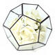 Irregular Glass Geometric Terrarium Box Flower Pot DIY Tabletop Succulent Plant Planter