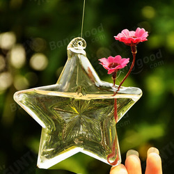 Lucky Star Shape Glass Flower Vase Hydroponic Plant Container Lucky Star Shape Glass Flower Vase Hydroponic Plant Container