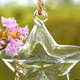 Lucky Star Shape Glass Flower Vase Hydroponic Plant Container