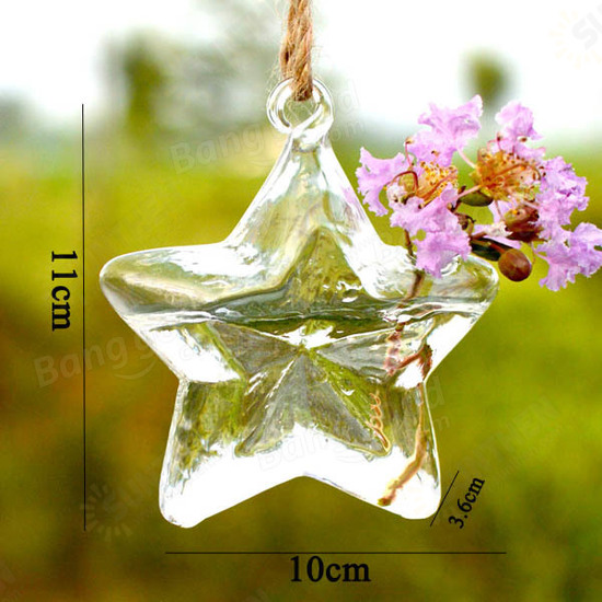 Lucky Star Shape Glass Flower Vase Hydroponic Plant Container