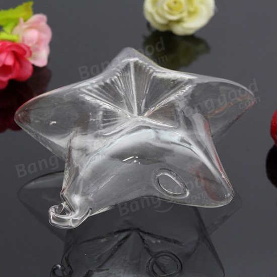Lucky Star Shape Glass Flower Vase Hydroponic Plant Container