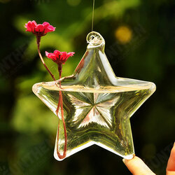Lucky Star Shape Glass Flower Vase Hydroponic Plant Container Lucky Star Shape Glass Flower Vase Hydroponic Plant Container