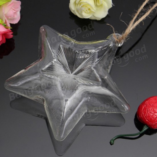 Lucky Star Shape Glass Flower Vase Hydroponic Plant Container