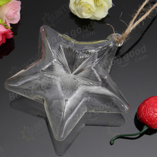 Lucky Star Shape Glass Flower Vase Hydroponic Plant Container