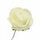 Light Yellow4 