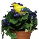 Plant Pal Soil Moisture Meter Alarm Cardinal Goldfinch Singing Voice Flower Bonsai Testing Tool