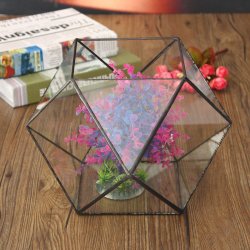 Polygon Greenhouse Glass Terrarium DIY Micro Landscape Succulent Plants Flower Pot Polygon Greenhouse Glass Terrarium DIY Micro Landscape Succulent Plants Flower Pot