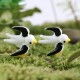 Resin Mini Swallow Micro Landscape Decorations Garden DIY Decor