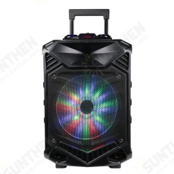 PI12 Bluetooth Speakers DJ Light Speaker High Power Column 12 innch Woofer Portable Karaoke Speaker with Microphone PI12 Bluetooth Speakers DJ Light Speaker High Power Column 12 innch Woofer Portable Karaoke Speaker with Microphone