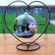 Creative Flower Pot Glass Ball Vase Terrarium Home Room Decor Gift