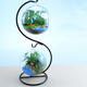 Creative Flower Pot Glass Ball Vase Terrarium Home Room Decor Gift