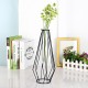 Flower Vase Holder Plant Display with Iron Stand and Glass Tube for Hydroponics Ornament Decorations in Different Size