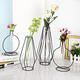 Flower Vase Holder Plant Display with Iron Stand and Glass Tube for Hydroponics Ornament Decorations in Different Size