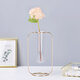 Glass Test Tube Glass Vase Pot Container Holder Plants Flowers Desk Decor Gift