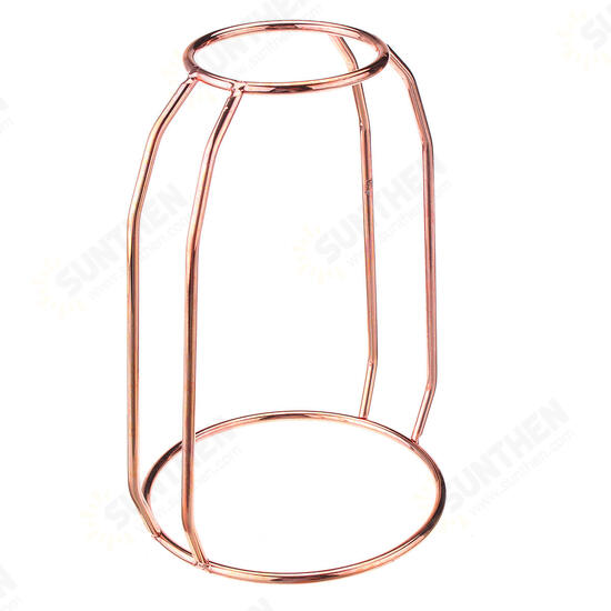 Glass Vase Flower Holder Plant Container Metal Line for Decorations