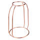 Glass Vase Flower Holder Plant Container Metal Line for Decorations