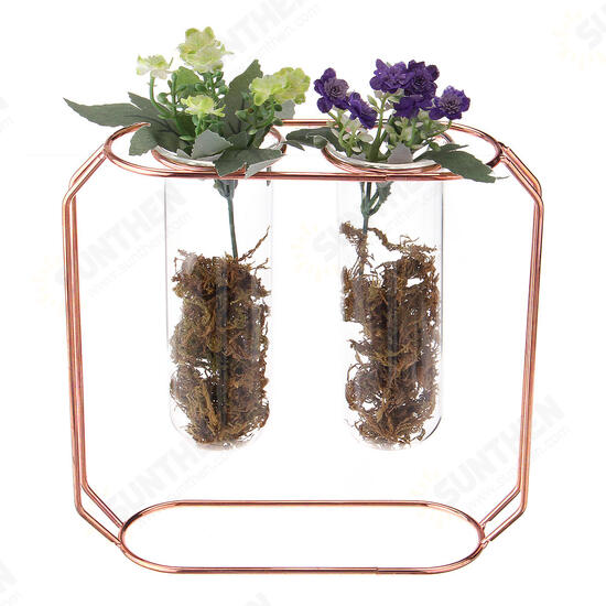 Glass Vase Flower Holder Plant Container Metal Line for Decorations