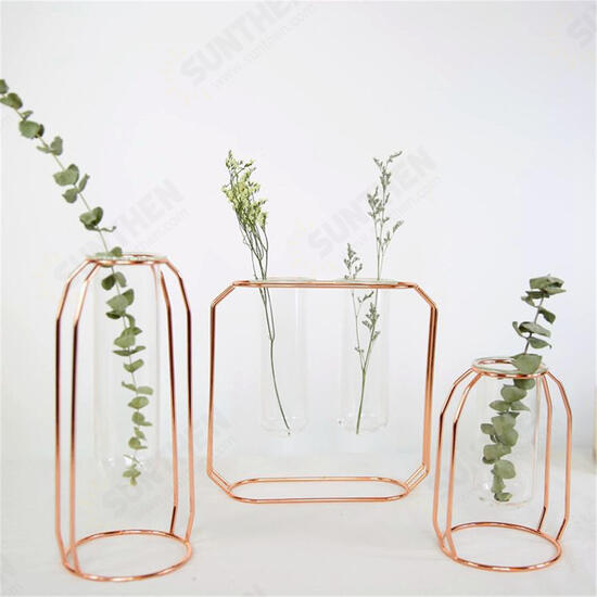 Glass Vase Flower Holder Plant Container Metal Line for Decorations