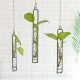 Large Glass Vase Hemp Rope Pendant Living Room Wall Hanging Green Plant Containers